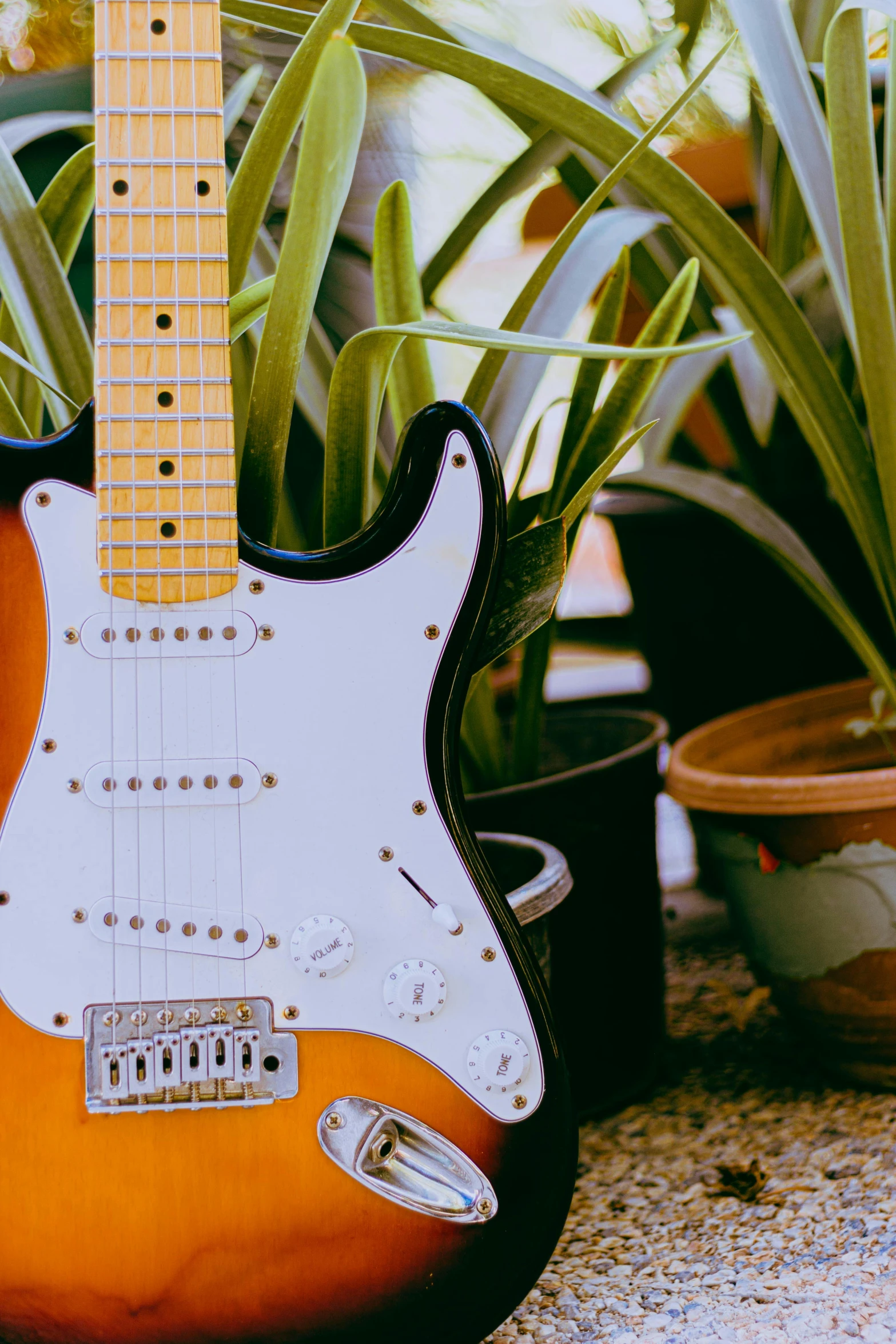 an orange and black electric guitar sitting next to some potted plants