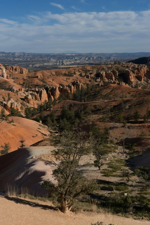 a group of rocks in the distance, along with some trees in the foreground