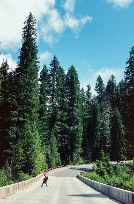 a person standing on the side of a road surrounded by trees