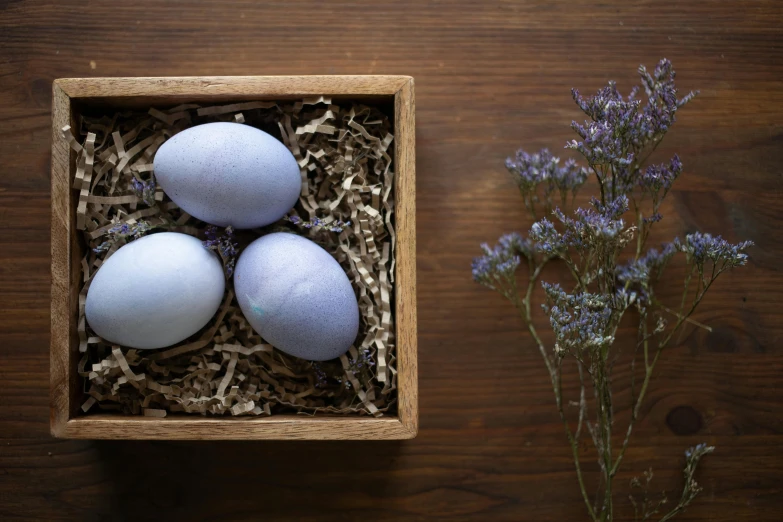 three blue eggs in a wood box with flowers