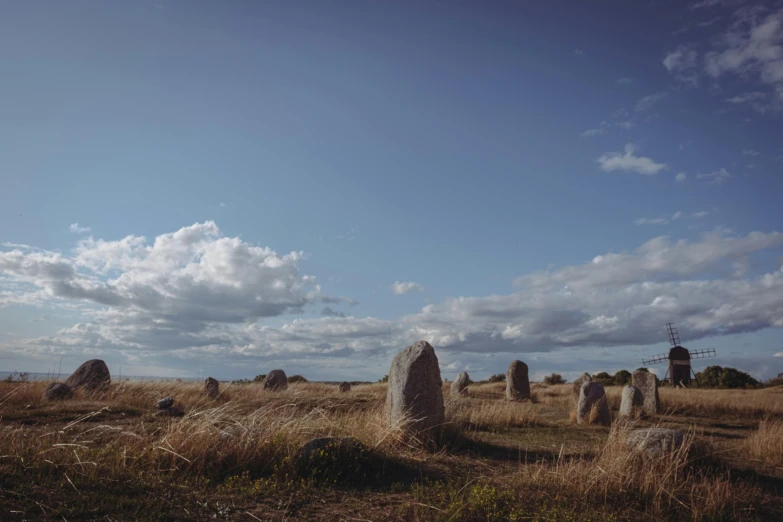 a field with some rocks on it in the grass