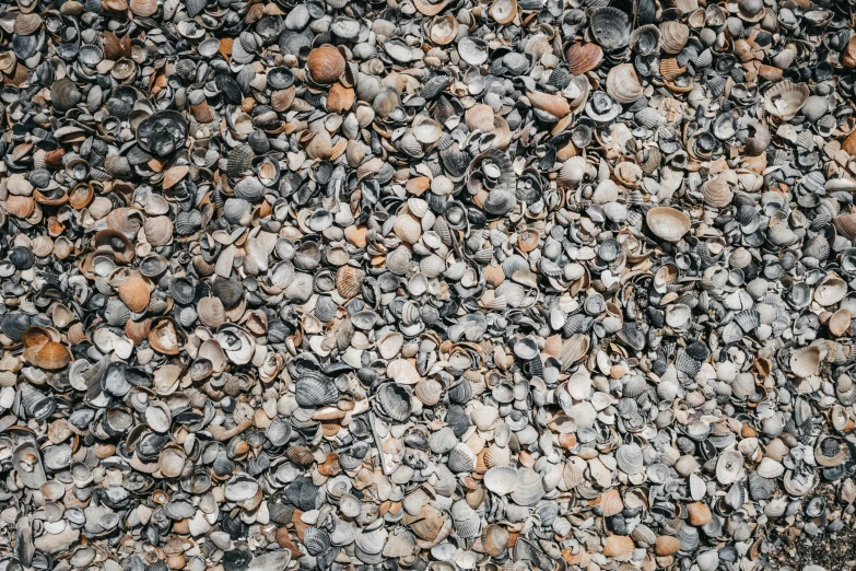 several rocks are piled together in order to be used as a backdrop