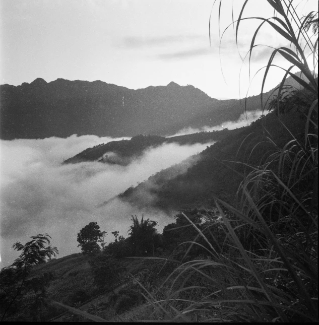 a cloudy valley filled with tall hills