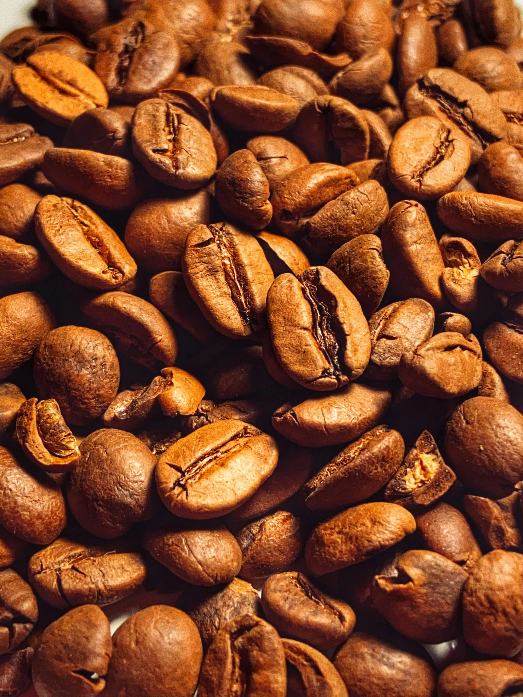 coffee beans spilled out of the center of a plate