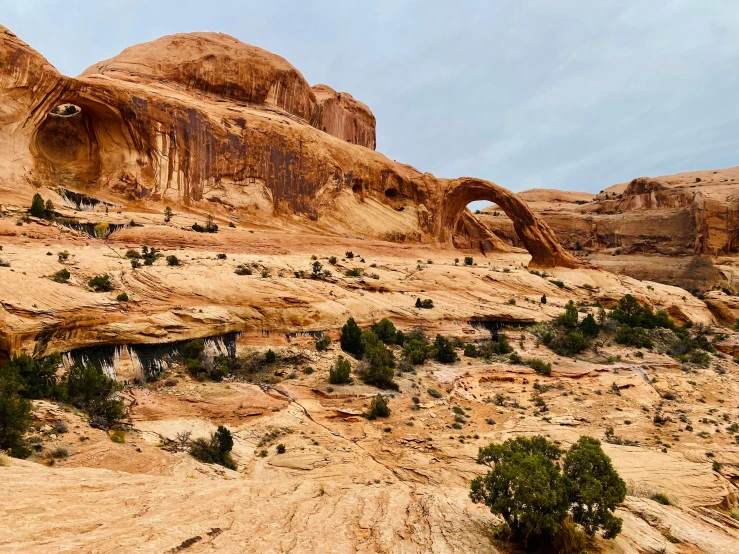 an image of a natural landscape in the desert