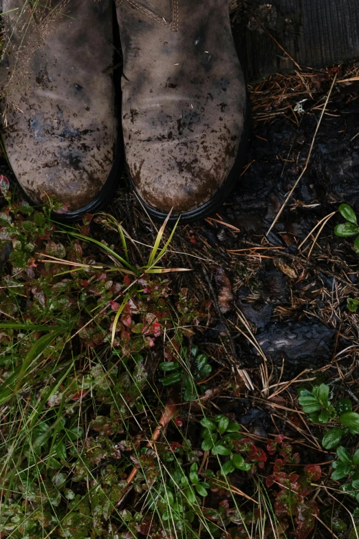 there is a close up view of a muddy shoe in the mud