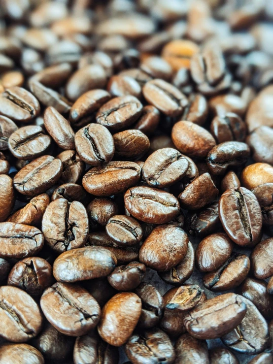 a large pile of roasted coffee beans