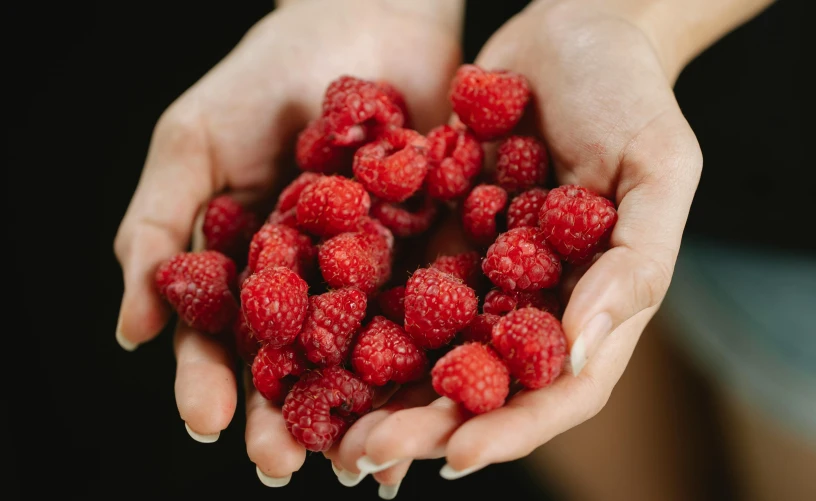 two hands holding raspberries in the palm