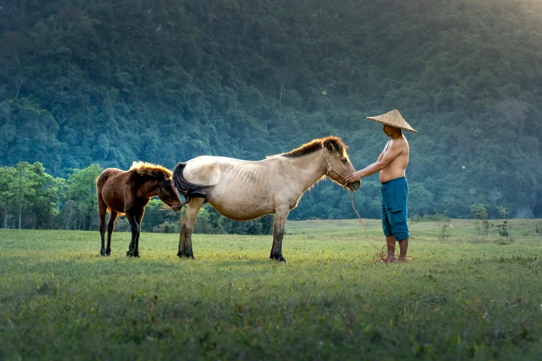 the men are standing with a horse in the grass