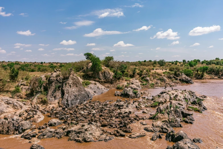 muddy shore, shrubs and rocky terrain on the shoreline