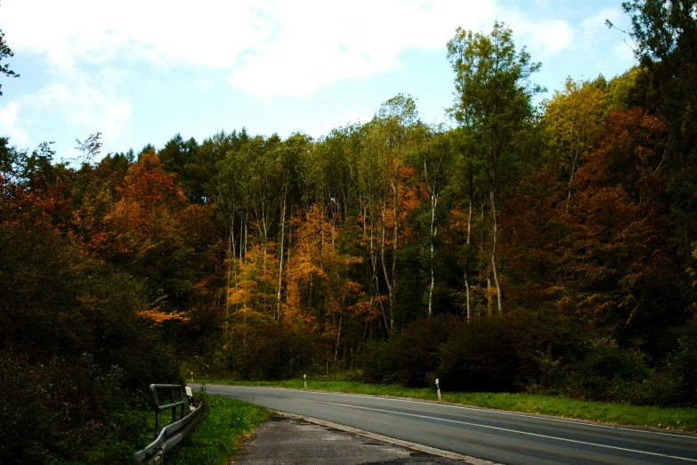 a car driving down a road past a forest