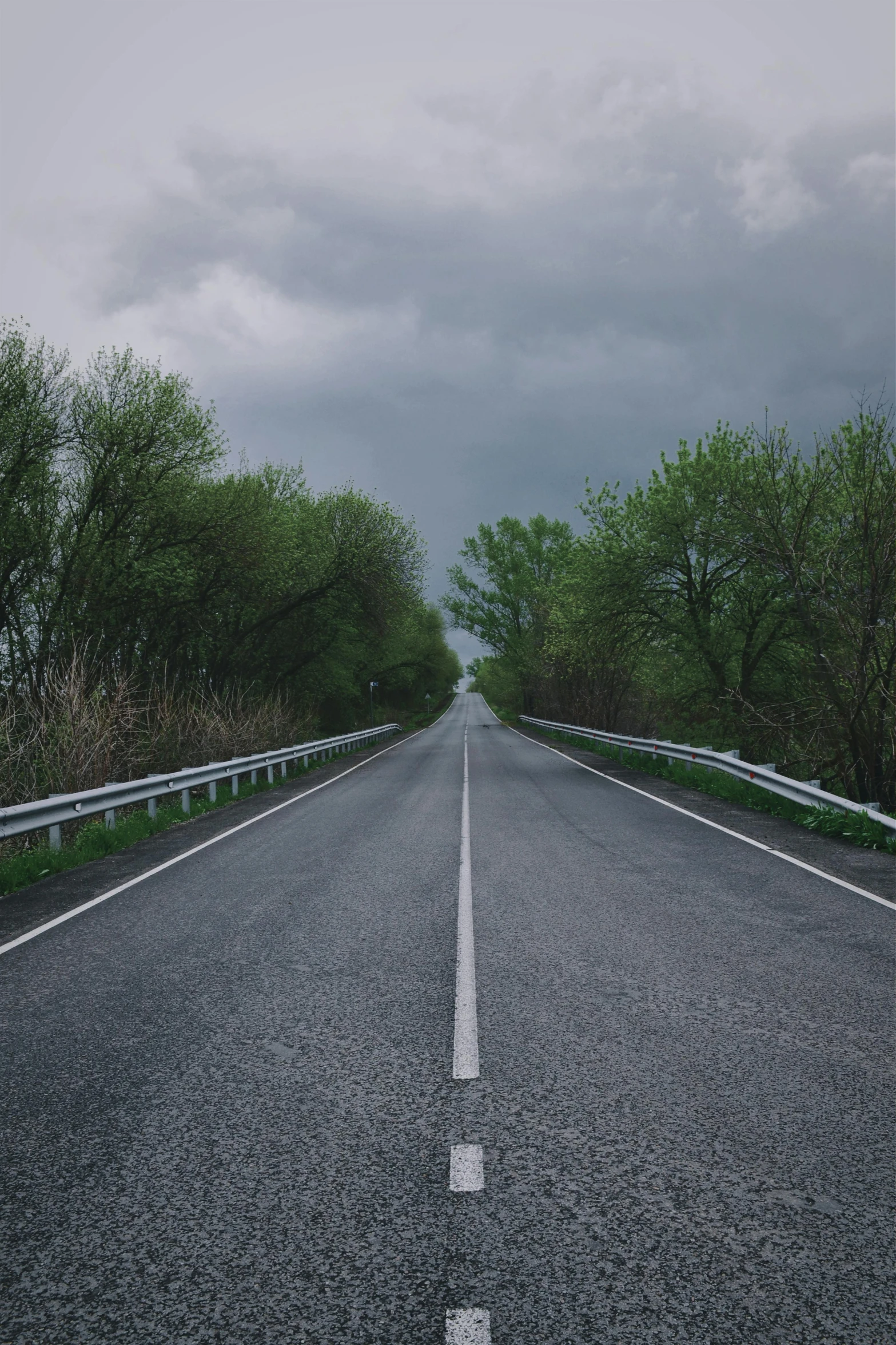 a empty road is shown between two trees