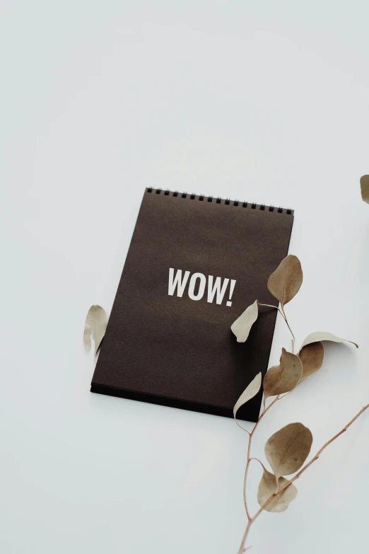 a brown notebook with a word on it is laying next to leaves