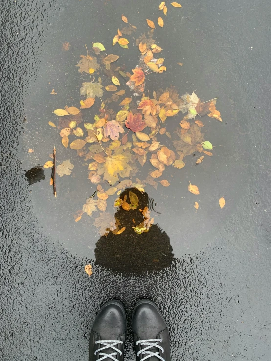 legs are shown in front of a dle with colorful leaves floating above