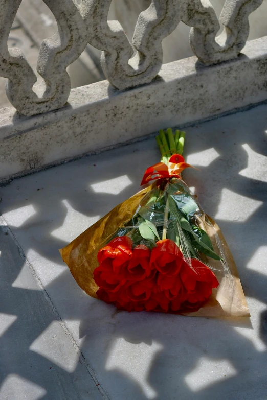 a bunch of roses wrapped in a clear package