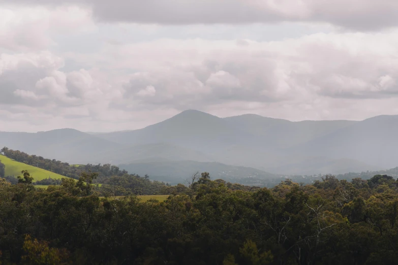 some trees hills and clouds in the distance