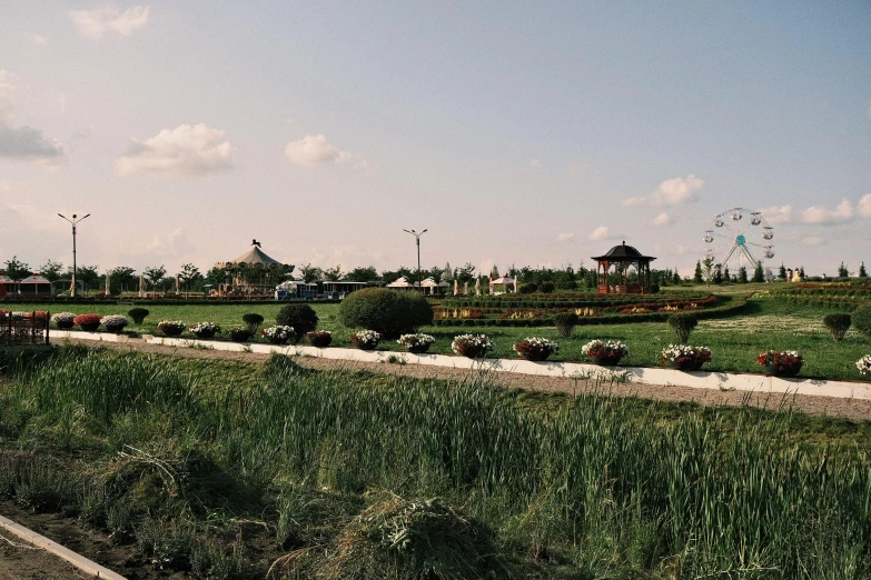 a lush green field filled with lots of green grass