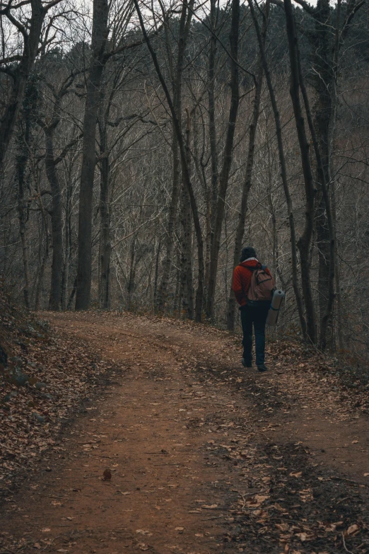 a woman with a backpack walks through a forest