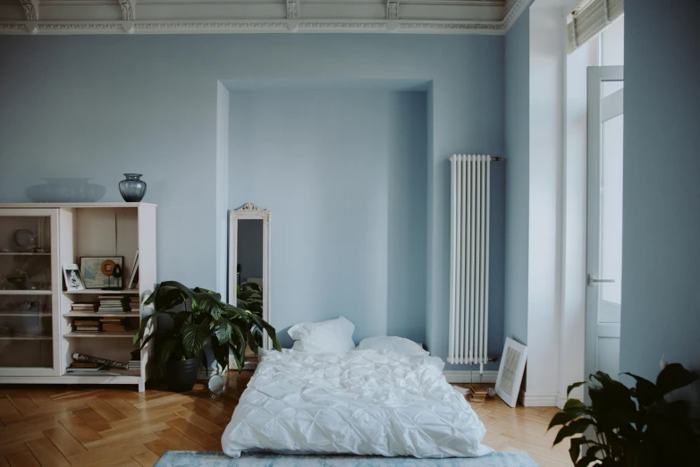 an empty bedroom has plants on the bed