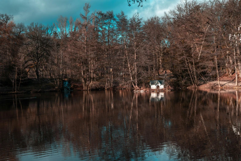 a beautiful view of water with a tree line in the background