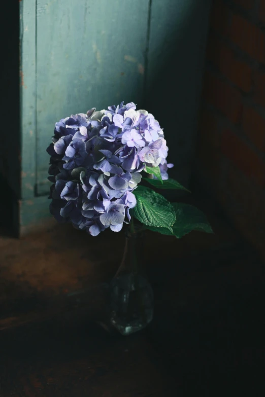 a small clear vase with purple flowers and green leaves