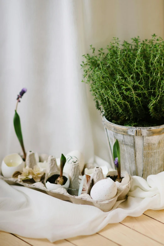 some plants in an old tin container sit near easter eggs