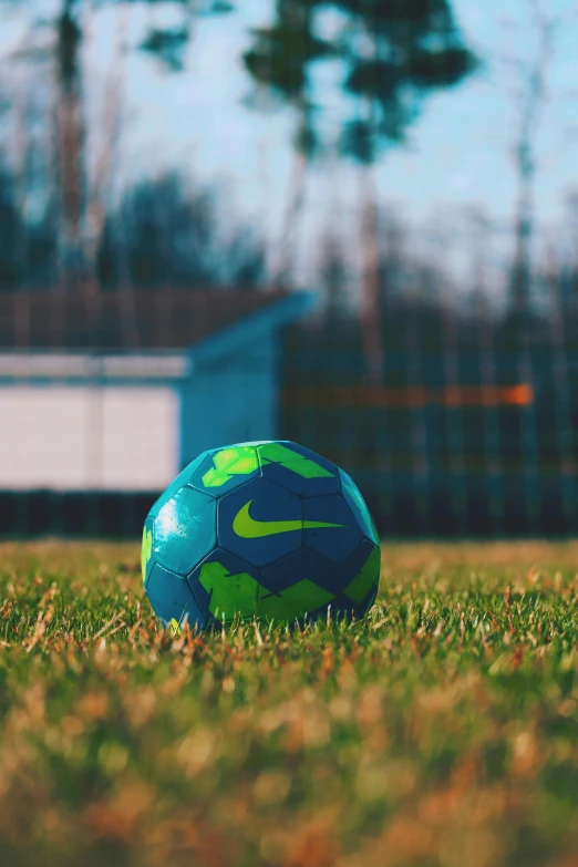 a green and blue soccer ball sitting on top of a green field