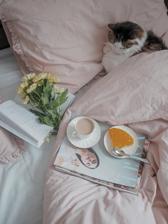 a cat is sitting on a bed next to a book and a cup