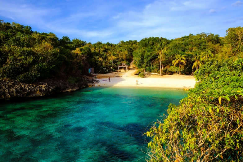 a sandy beach sits between lush vegetation and a turquoise sea