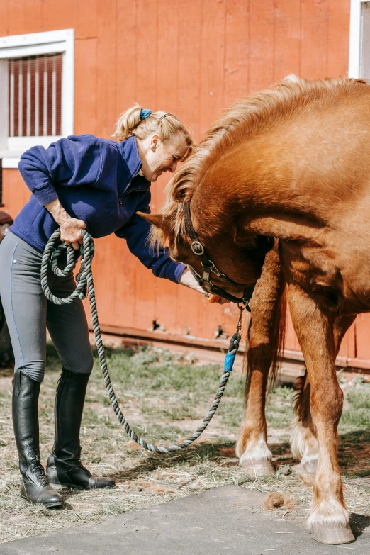 a person bending over to pet the head of a horse