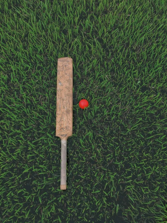 a bat and ball lying on the green grass