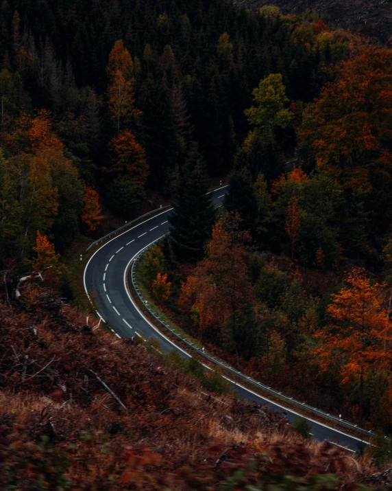 a road in a wooded area with lots of traffic