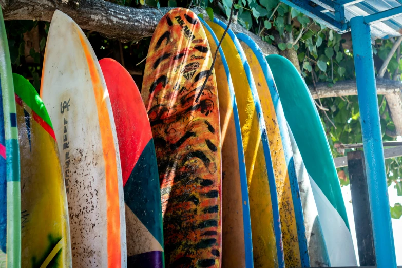 the surf boards have been washed and are all leaning against a wall