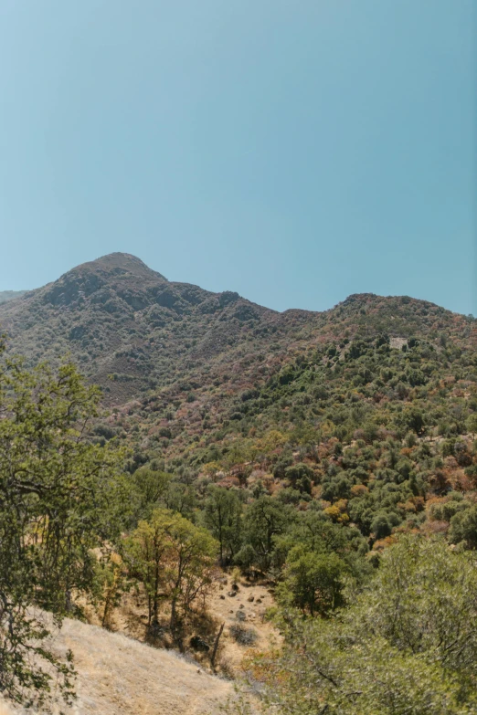 a view of some hills and trees that are in the wild