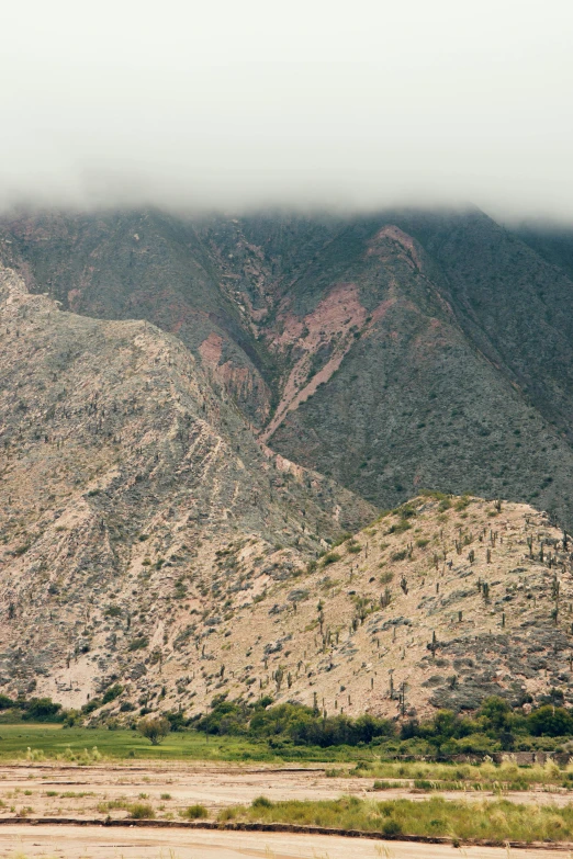 a bird flying over a desert area under a large mountain