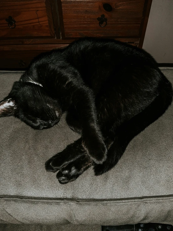 a black cat is sleeping on top of a chair