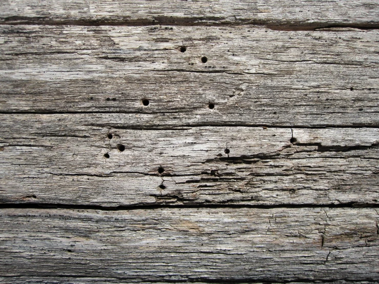 a bird sitting in the middle of some wood