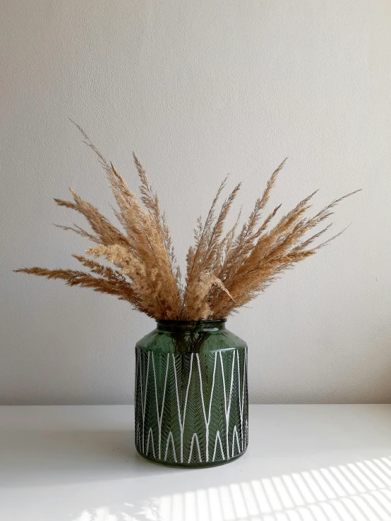 tall grass is displayed in a green vase