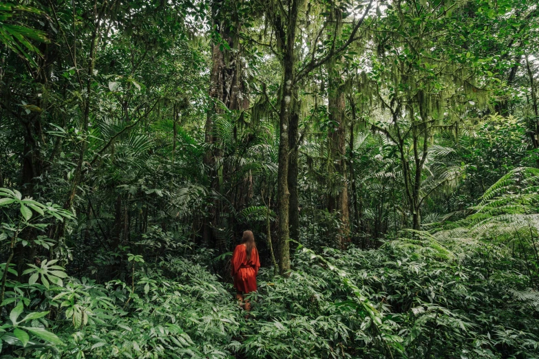 woman in red walking alone through the forest