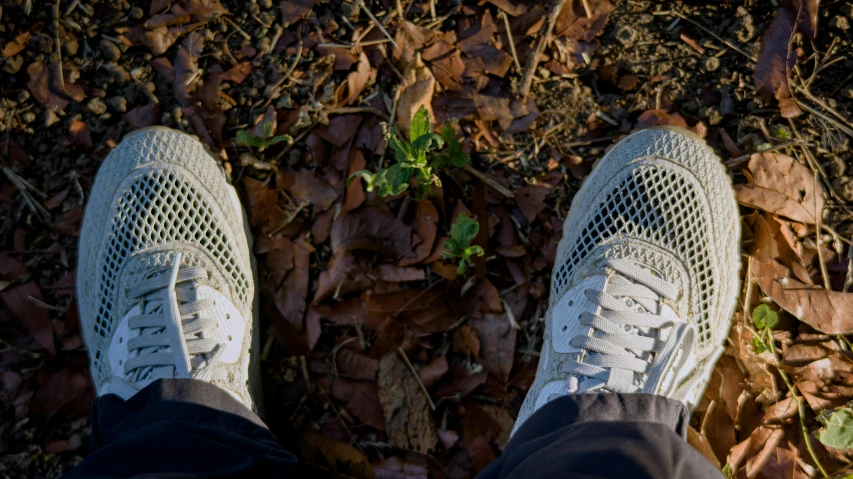 feet wearing white sneakers walking in leaves on the ground