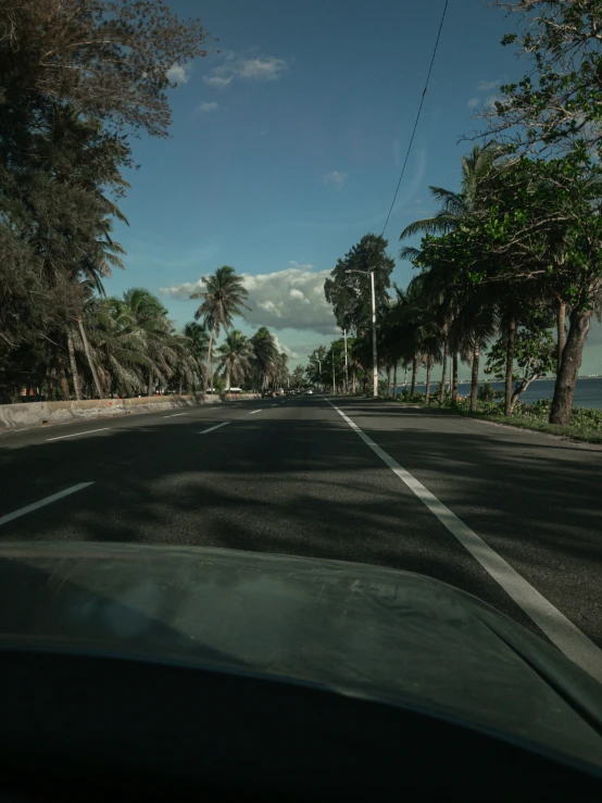 a street with palm trees on both sides and palm trees along the other side