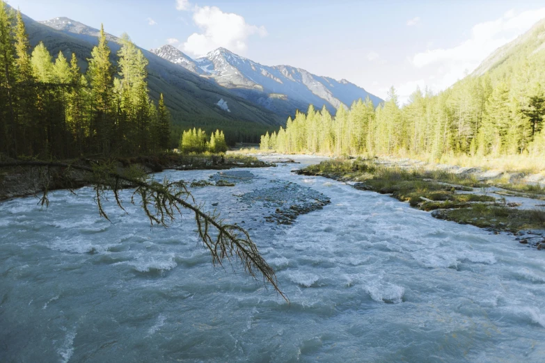 water flowing through a valley between a mountain and a forest