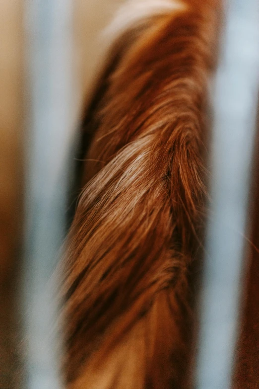 a blurry image of a woman's hair with lots of long hair