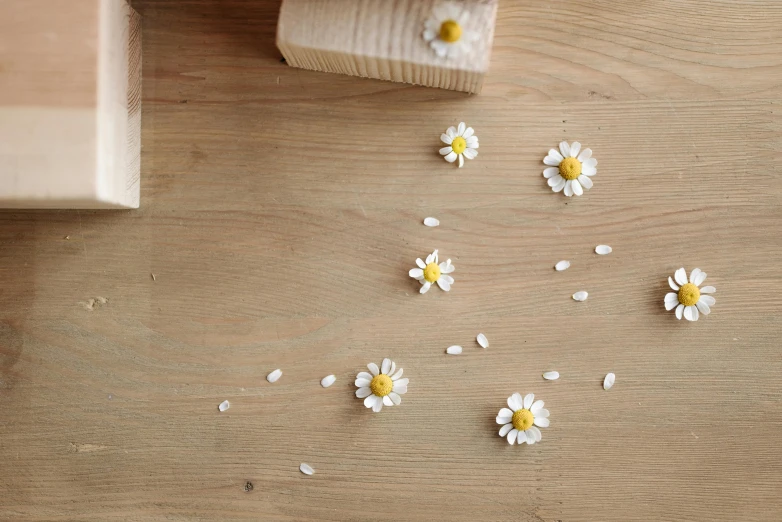 some tiny flowers are scattered near a piece of wood