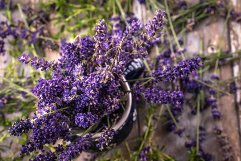 a vase filled with purple flowers sitting on top of a table