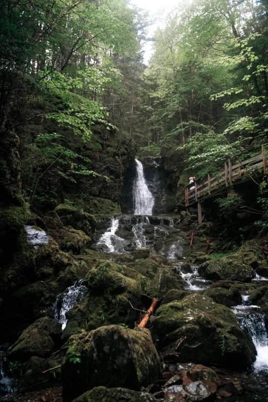 there is a small waterfall in the woods near a bridge