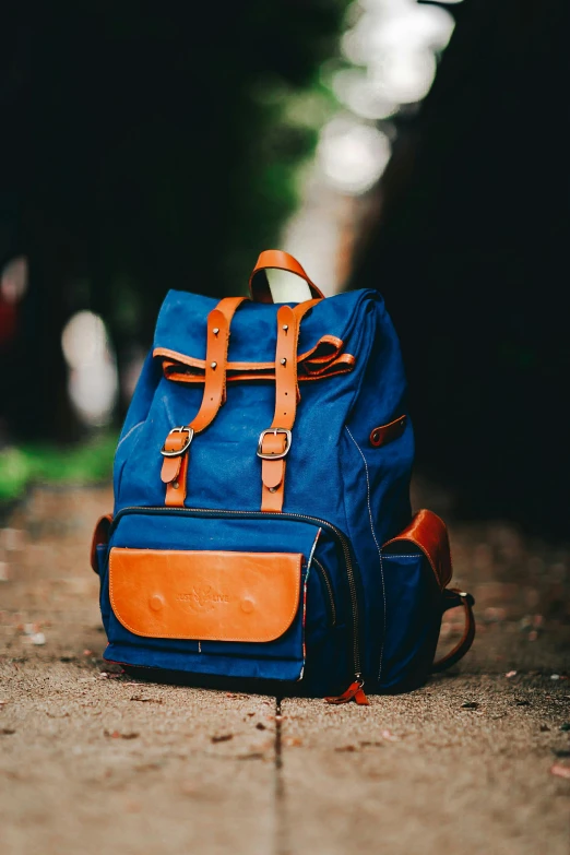 a blue bag sitting on the road in a park