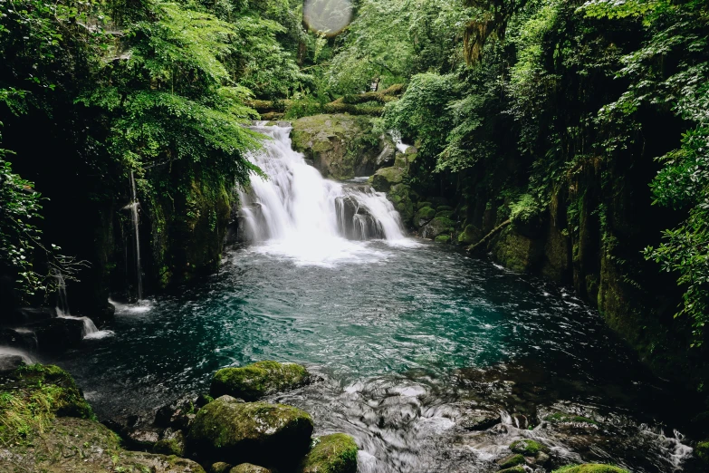 some trees water and a waterfall with rocks