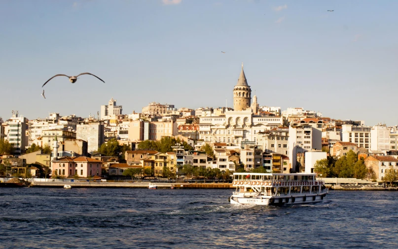 there is a large white boat with a city in the background