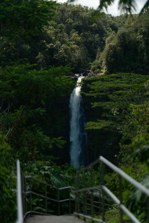 a view of the top of a waterfall from below